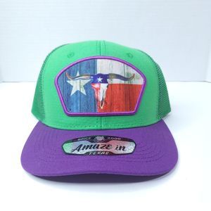 NWT Pitbull Hat Green And Purple Texas Flag With Longhorn Skull